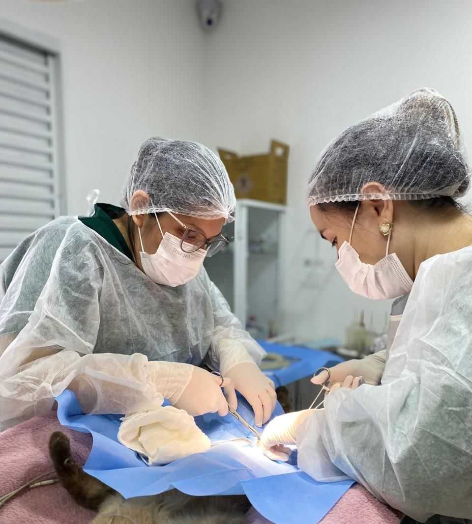 Foto da Galeria