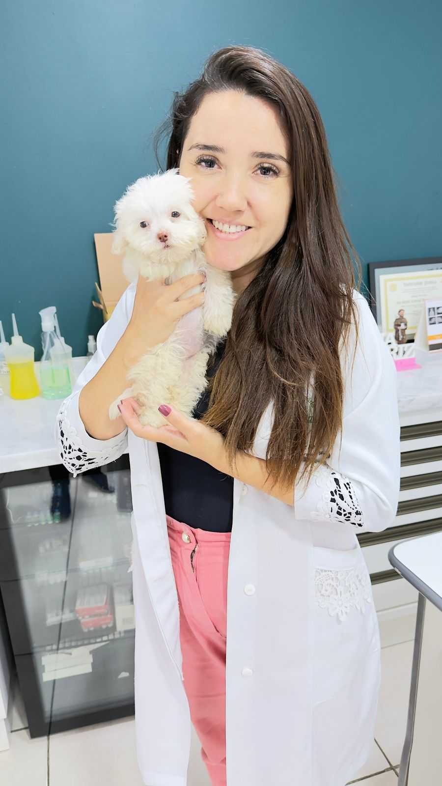 Foto da Galeria